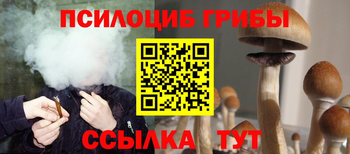 Псилоцибиновые грибы прущие грибы Кимовск