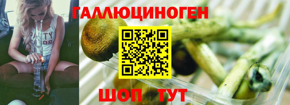 хочу наркоту  Псилоцибиновые грибы Magic Shrooms  Вход с VPN  Кимовск 